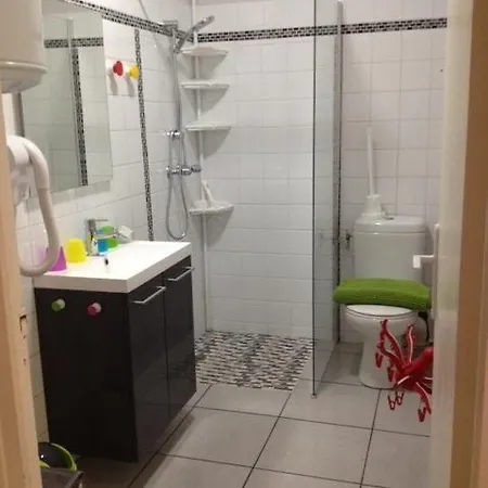Le Logis Du Pic Du Midi Apartamento